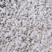 TheLAShop 5.6ft Lighted Angel for Outdoors & Indoors Yard Lawn Image