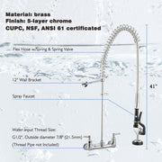 TheLAShop Commercial Pre-Rinse Faucet with Sprayer Wall Mount 41H Image