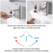 TheLAShop Bathroom Faucet Single Handle Square Hot & Cold 8"H Image