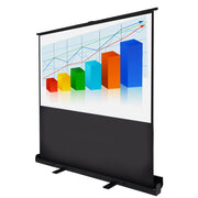 TheLAShop Floor Stand Pull Up Portable Projector Screen 60" 4:3 Image