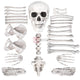 TheLAShop 28Pc Bag of Skeleton Bones Props Set Halloween Party Decor Image