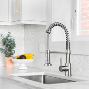 Aquaterior Pull-down Kitchen Faucet Single Handle Brushed Nickel