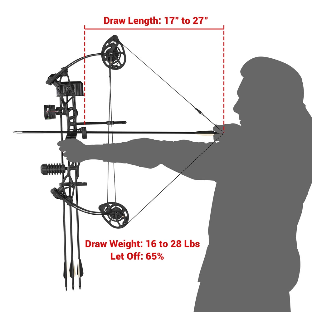TheLAShop Youth Compound Bow and Arrows(6) Archery Set –