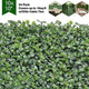 TheLAShop Artificial Hedge Boxwood Wall Panels 10"x10" 24ct/Pack