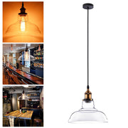 TheLAShop 11" Clear Glass Pendant Light Industrial Copper Hanging Lamp