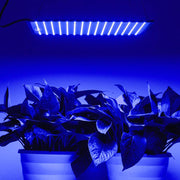 TheLAShop 225 Ultrathin Blue Red Lamp LED Plant Grow Light Panel