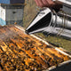 TheLAShop 11" Stainless Steel Bee Hive Smoker w/ Heat Shield Calming
