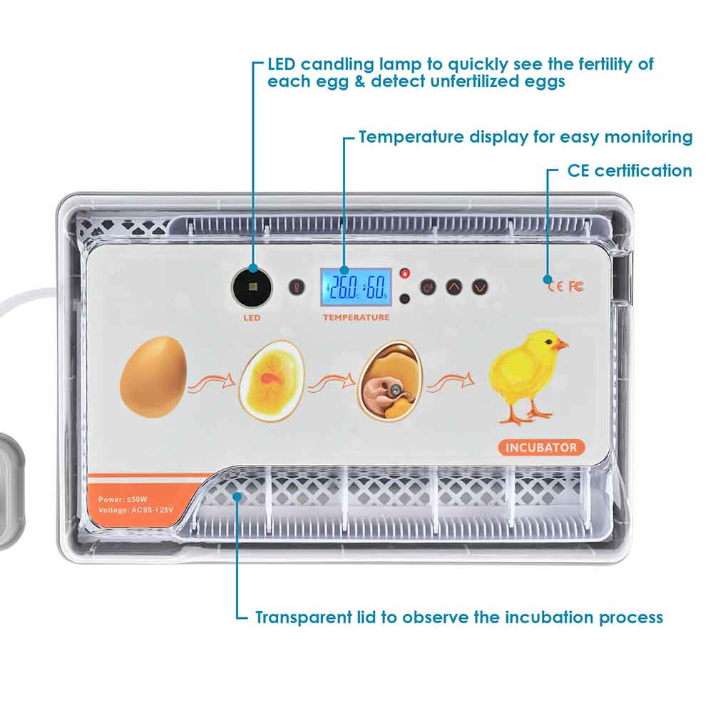 TheLAShop 8 Chicken 9 Quail Egg Digital Incubator with Egg Candler –