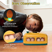 TheLAShop 8 Chicken 9 Quail Egg Digital Incubator with Egg Candler