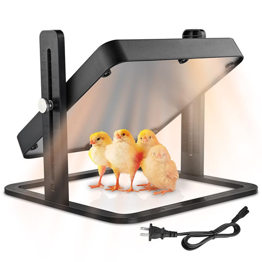 TheLAShop 8 Chicken 9 Quail Egg Digital Incubator with Egg Candler –