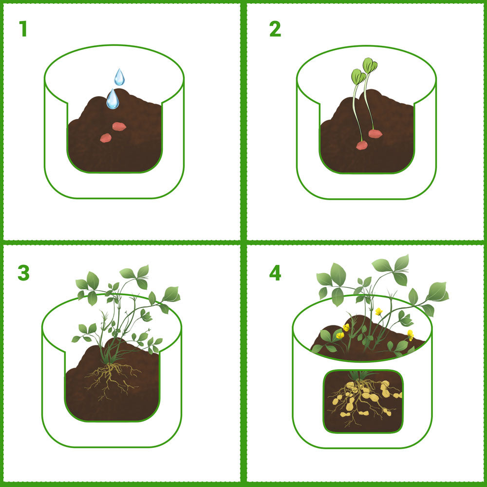 TheLAShop 2-Pack Potato Grow Bags 10-Gal Fabric Pods –