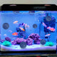 TheLAShop 40pcs Aquarium Pond Bio Balls Filter Media 1.2 inch