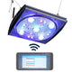 150ft Plug-in Integrated LED Rope Light Blue, 120V, 1/2"(13mm)