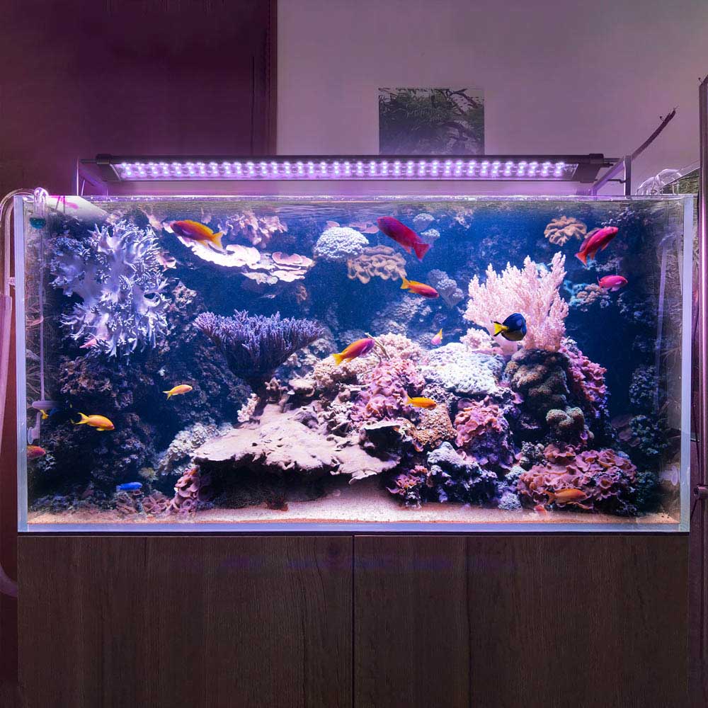 AquaBasik LED Aquarium Lights Plants Reef 32-39 Fish Tank RGBW