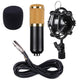 TheLAShop Studio BM800 Condenser Microphone Kit w/ Shock Mount