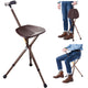 TheLAShop Folding Seat Cane Walking Stick Adjustable Height