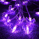 TheLAShop Halloween Fairy Light Purple Bat Lights Battery Operated 15ft