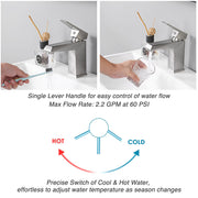 Aquaterior Bathroom Faucet Single Handle Hot & Cold, 7"H