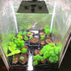 LAGarden Hydroponic Mylar Reflective Grow Tent 5x2.7x6.7ft