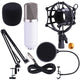 TheLAShop Condenser Microphone Kit w/ Arm Stand Shock Mount Pop Filter