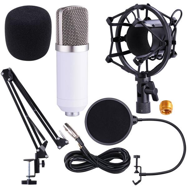 Kit Microphone Condensateur avec Suspension Filtre Anti-Pop Studio