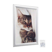 TheLAShop 10"x13" A4 Poster Size Snap Frame 1" Profile Picture Display